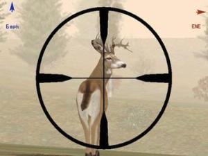Deer Hunter